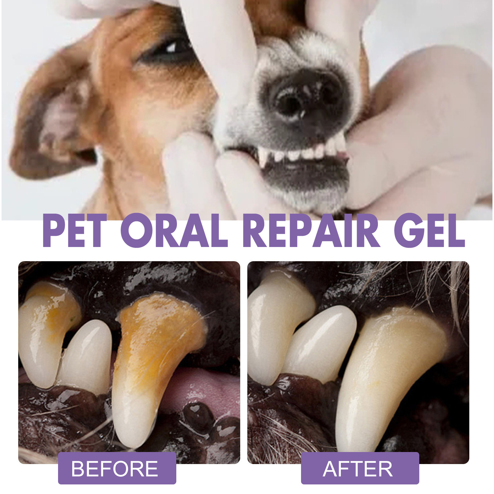 สัตว์เลี้ยง Oral Repair GEL Pu - Teeth Whitening Cream บทวิจารณ์และราคา